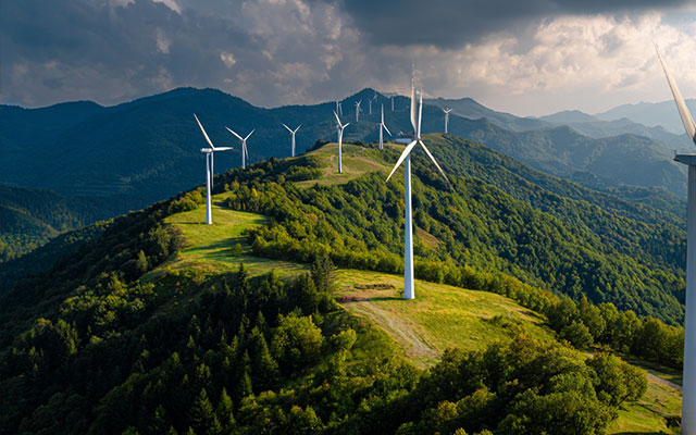 풀반응형 그누보드 테마